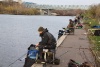 Pictures 010